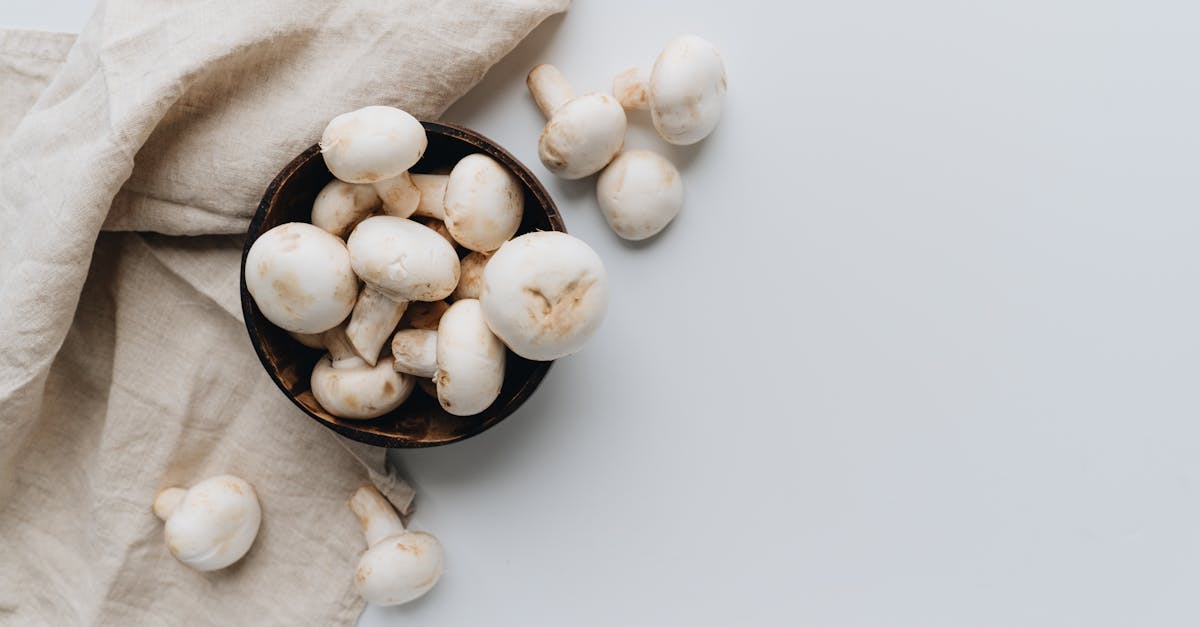 découvrez des recettes durables et savoureuses qui respectent l'environnement tout en éveillant vos papilles. apprenez à cuisiner de manière éco-responsable avec des ingrédients locaux et de saison.