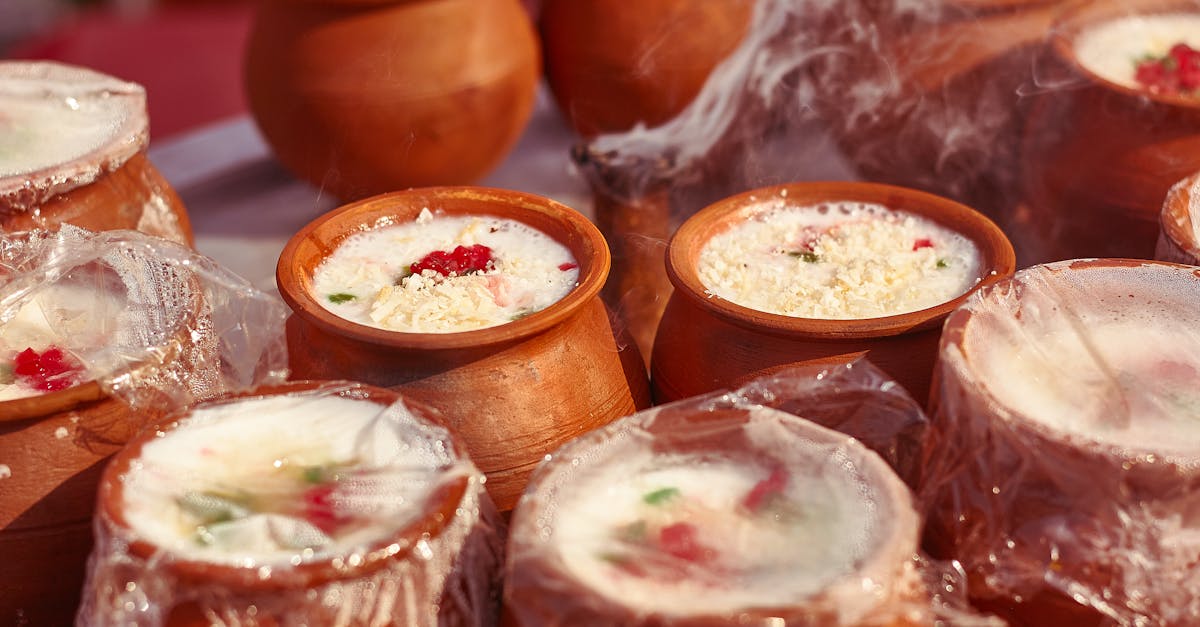 découvrez des recettes durables qui allient plaisir gustatif et respect de l'environnement. adoptez une cuisine écoresponsable avec des ingrédients locaux et de saison.