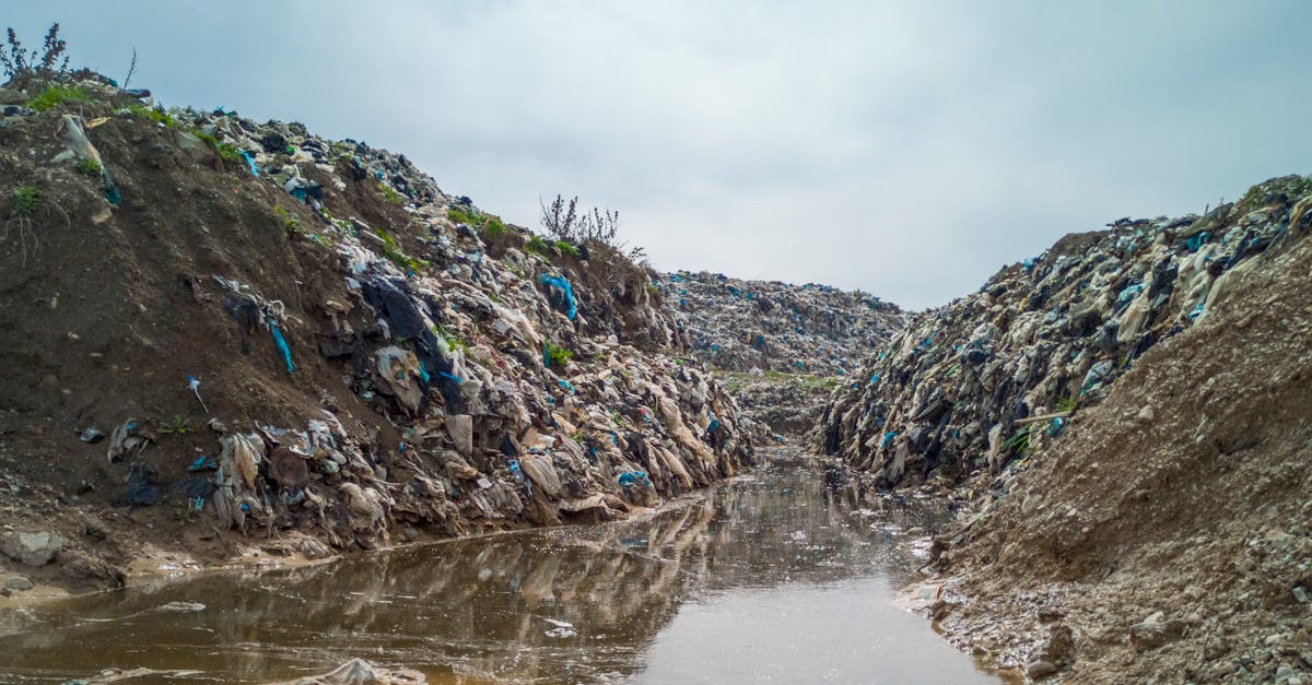 découvrez des solutions durables pour un avenir meilleur. engagez-vous dans des pratiques respectueuses de l'environnement et apprenez comment chaque geste compte pour préserver notre planète.