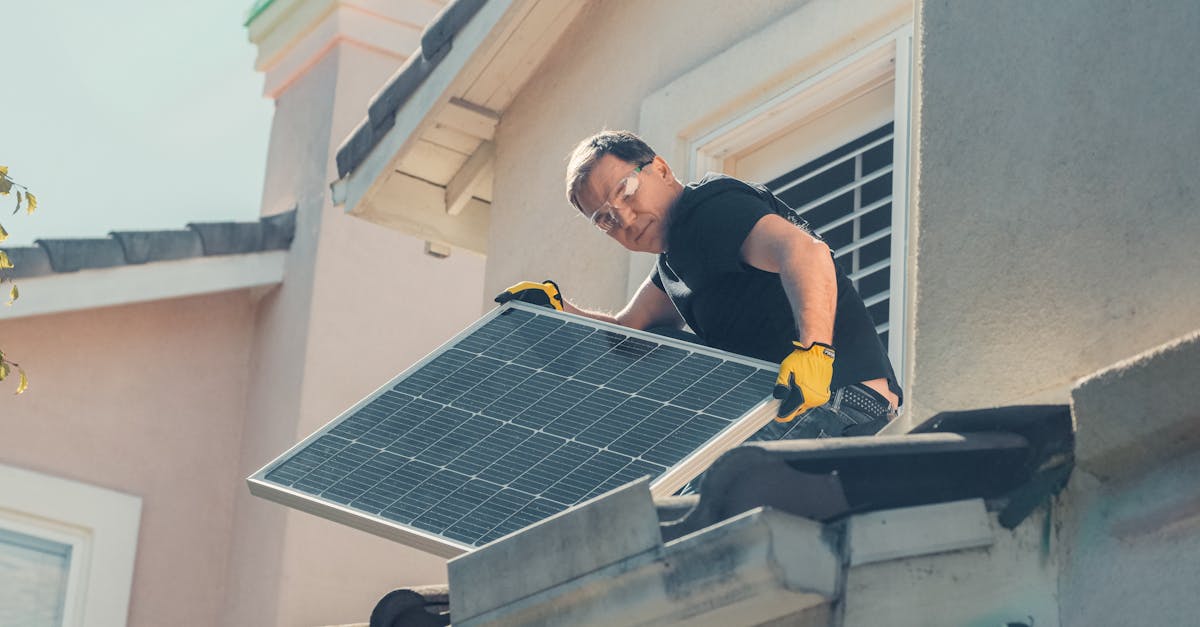 découvrez des solutions durables qui favorisent un avenir éco-responsable. explorez nos initiatives innovantes pour réduire l'impact environnemental tout en répondant aux besoins contemporains.