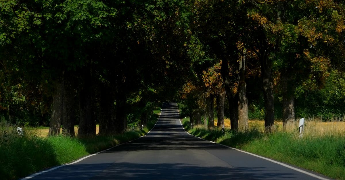 découvrez des conseils et astuces pour un voyage durable. apprenez à réduire votre empreinte carbone tout en explorant des destinations incroyables et en respectant l'environnement.