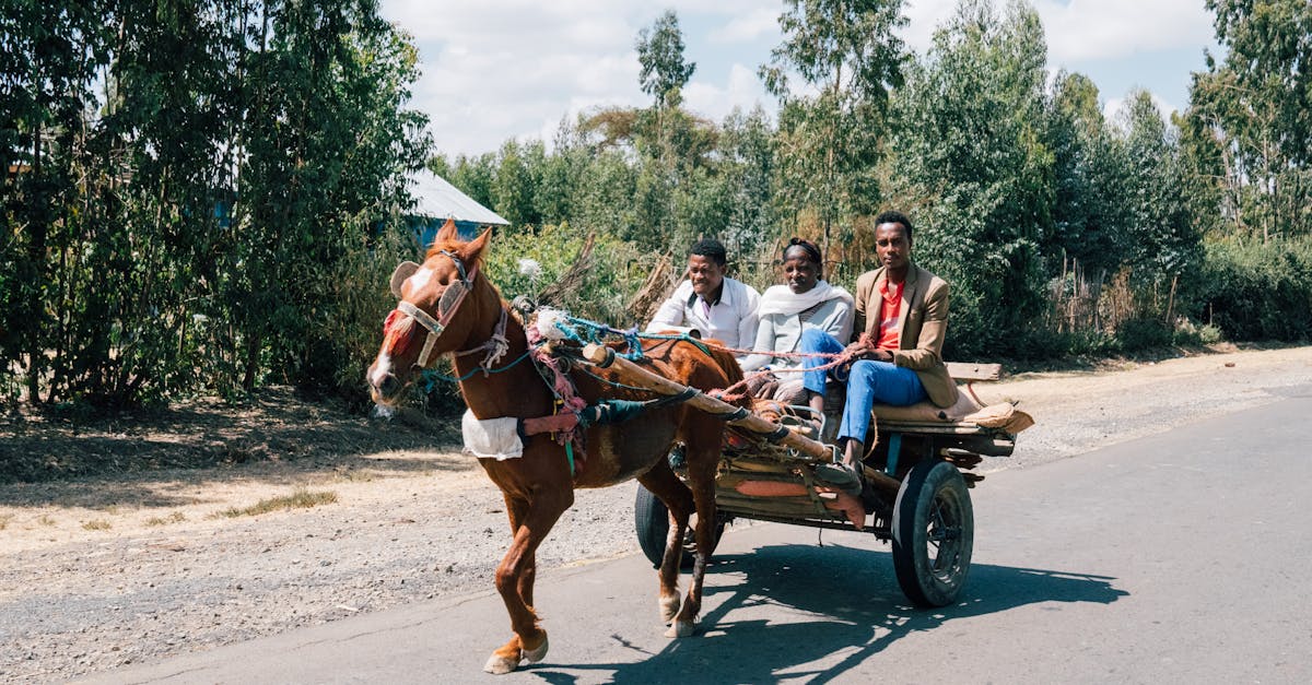 découvrez des conseils et des astuces pour un voyage durable, respectueux de l'environnement et des cultures locales. apprenez à voyager de manière responsable tout en profitant de paysages magnifiques et d'expériences uniques.