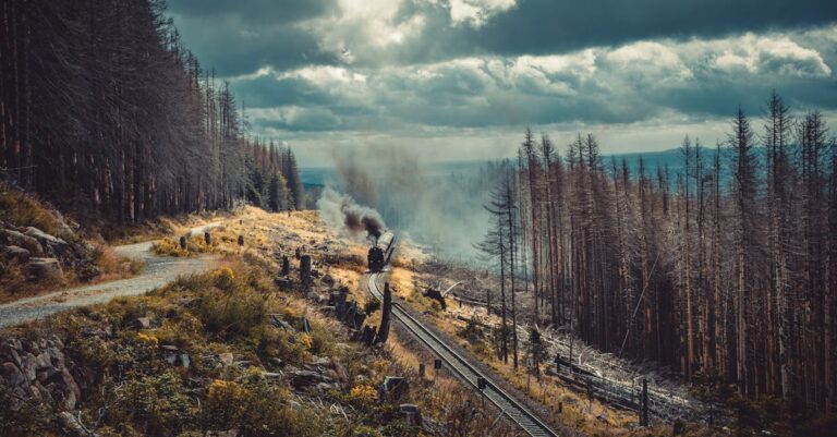 découvrez les secrets du voyage durable : des conseils pratiques, des destinations éco-responsables et des astuces pour minimiser votre impact sur l'environnement tout en explorant le monde. adoptez un tourisme responsable et éveillez votre conscience écologique en voyageant.