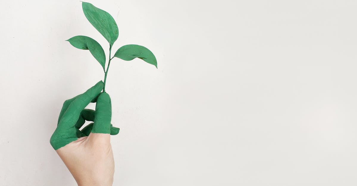 découvrez l'importance de la durabilité dans notre monde moderne. explorez des pratiques éthiques et des solutions innovantes pour préserver notre planète tout en répondant aux besoins des générations futures.
