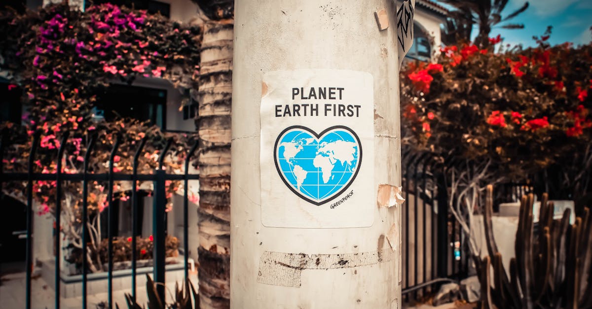 découvrez le monde du véganisme : des recettes délicieuses, des conseils nutritionnels et des informations sur un mode de vie respectueux de l'environnement. rejoignez le mouvement pour une alimentation saine et éthique !