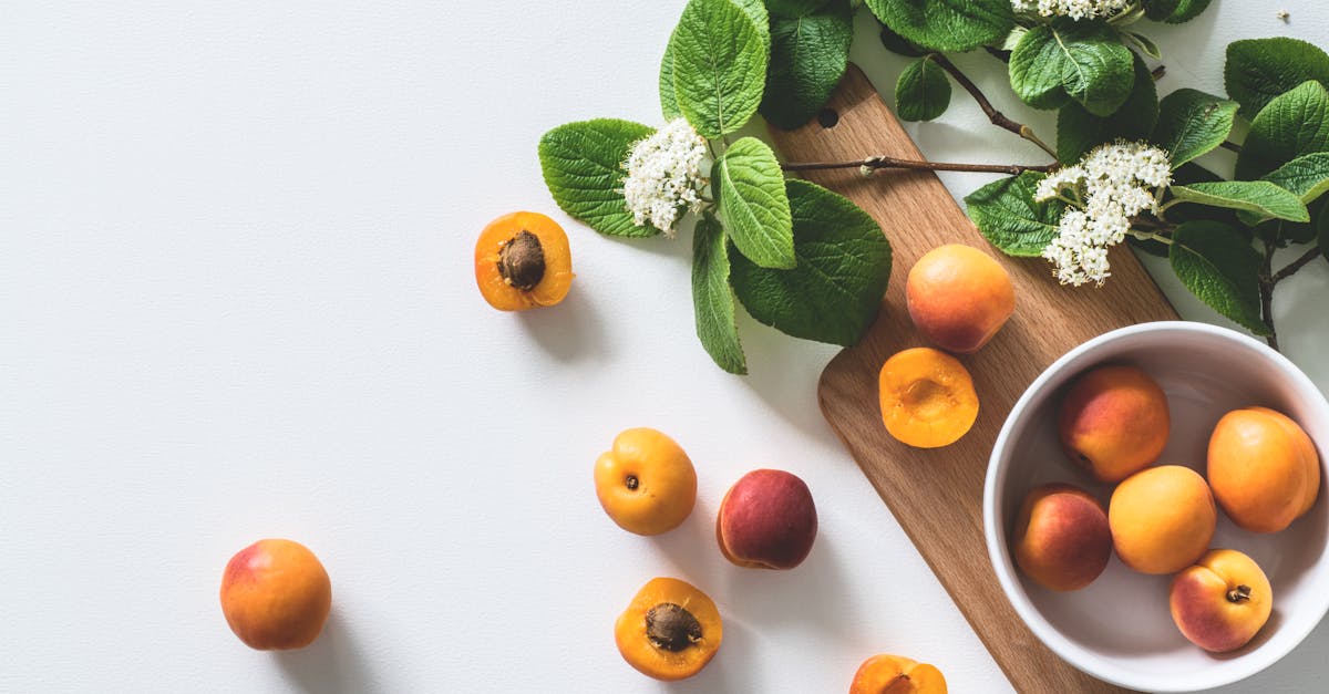 découvrez notre recette de brioche vegan, légère et moelleuse, parfaite pour un petit-déjeuner gourmand ou un goûter savoureux. réalisée sans produits d'origine animale, cette brioche saura séduire les amateurs de pâtisserie saine et éthique.