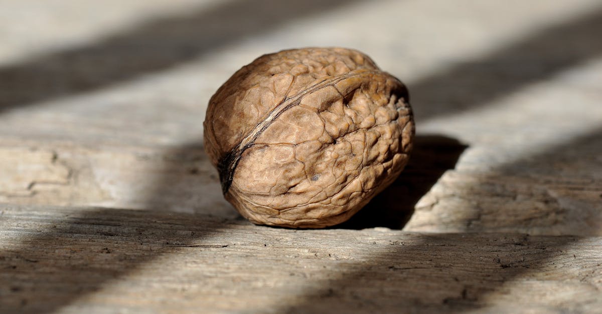 découvrez notre délicieuse recette de gâteau vegan aux noix ! avec des ingrédients naturels et savoureux, ce dessert moelleux et nourrissant ravira les amateurs de douceurs saines. parfait pour les anniversaires, les goûters ou simplement pour se faire plaisir sans culpabilité.