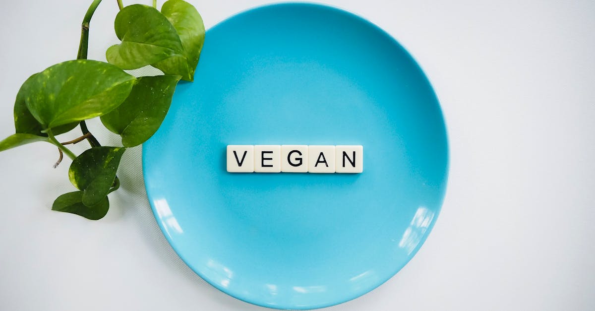 découvrez le véganisme : un mode de vie éthique qui prône le respect des animaux, la santé et la durabilité. explorez des recettes délicieuses, des conseils pratiques et des ressources pour adopter un mode de vie végan.