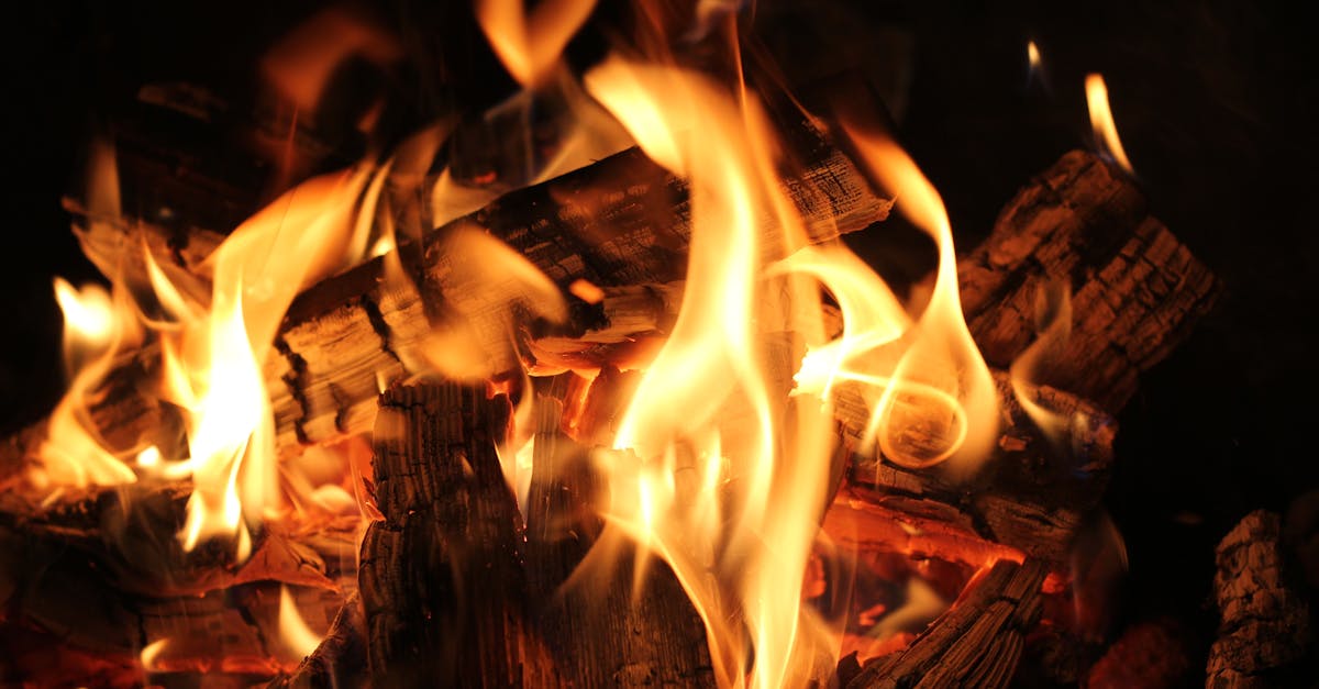 découvrez la chaleur et le réconfort à travers nos conseils et inspirations pour créer une atmosphère chaleureuse dans votre intérieur. plongez dans l'art de la convivialité et du bien-être !