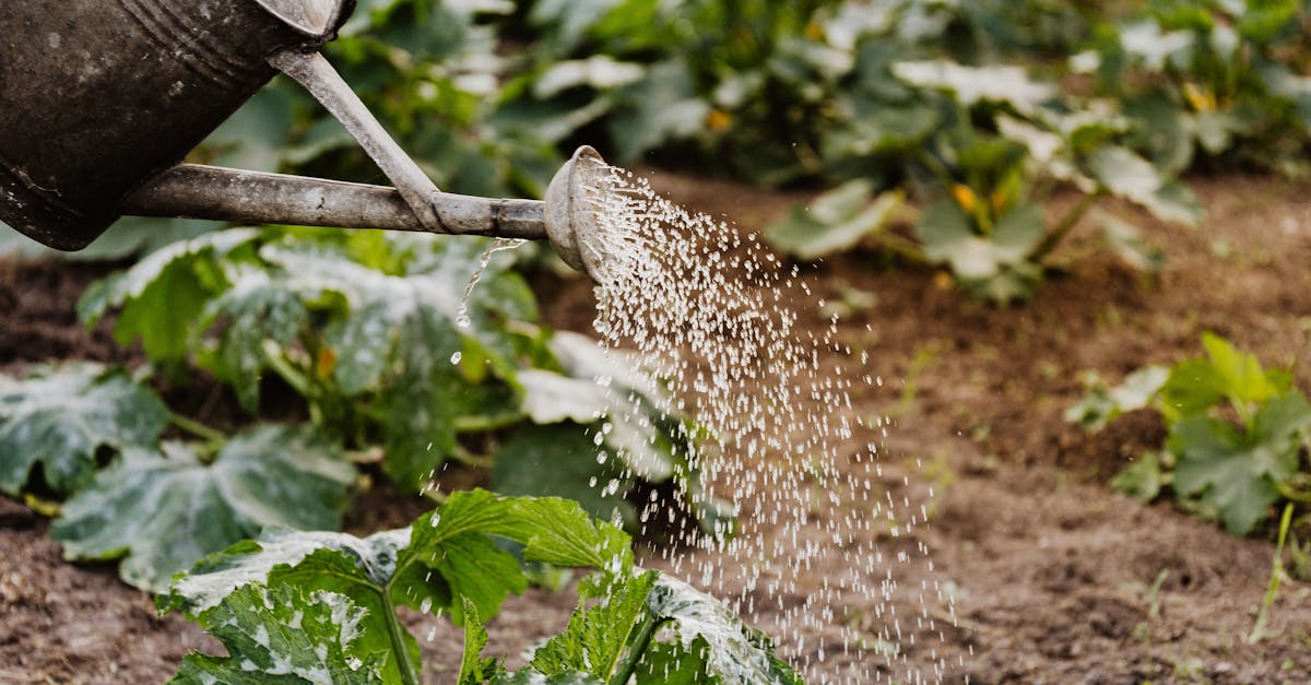 découvrez l'importance de la conservation de l'eau et des méthodes efficaces pour réduire votre consommation. apprenez comment préserver cette précieuse ressource et adopter des pratiques durables pour un avenir meilleur.