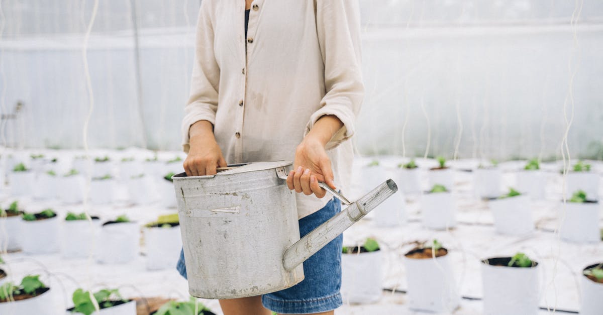 découvrez des conseils pratiques et des stratégies efficaces pour la conservation de l'eau. apprenez à réduire votre consommation d'eau à la maison et à préserver cette ressource précieuse pour les générations futures.