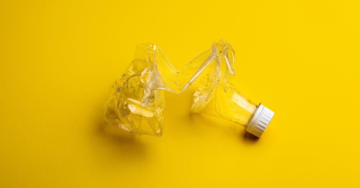 découvrez l'univers du zéro déchet : des astuces pratiques, des conseils d'experts et des solutions durables pour réduire votre impact environnemental et adopter un mode de vie éco-responsable.