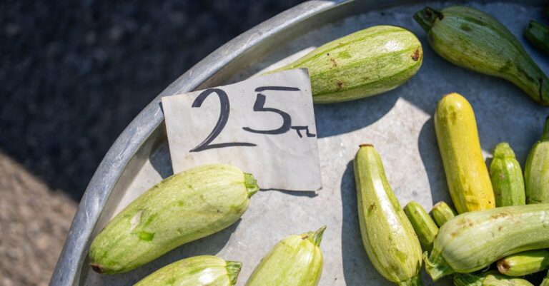 découvrez notre délicieuse tarte aux courgettes, une recette savoureuse parfaite pour un repas léger ou un apéritif. simple à réaliser, elle allie la douceur des courgettes à une pâte croustillante. régalez vos convives avec cette spécialité estivale!