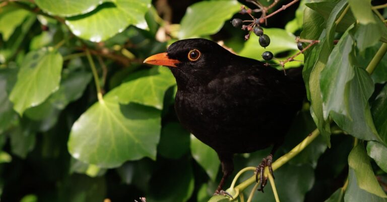 découvrez la richesse de la biodiversité, sa préservation essentielle et son impact sur notre planète. apprenez comment chaque espèce, du plus petit insecte aux plus grands mammifères, joue un rôle crucial dans l'équilibre de nos écosystèmes.
