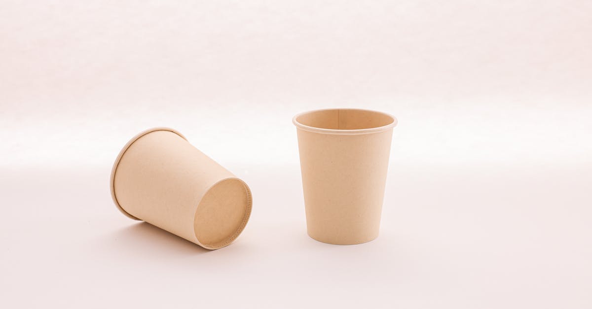 découvrez les matériaux compostables qui contribuent à la réduction des déchets et à la protection de l'environnement. apprenez comment intégrer des solutions éco-responsables dans votre quotidien tout en préservant la planète.