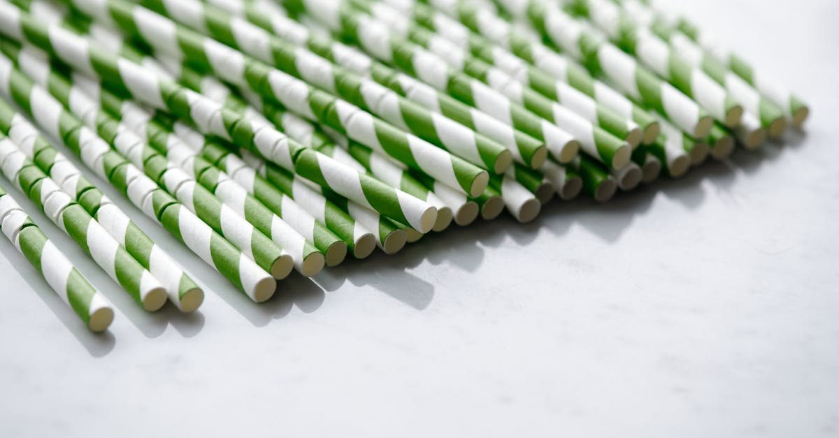 découvrez tout ce que vous devez savoir sur les matériaux compostables : avantages pour l'environnement, processus de décomposition, et comment les utiliser au quotidien pour réduire votre empreinte écologique.