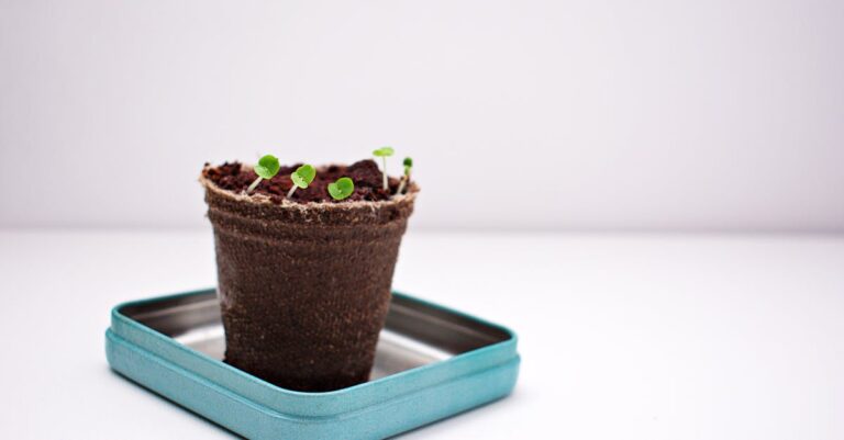 découvrez l'univers du compostable : des solutions durables et écologiques pour réduire vos déchets. apprenez à choisir des produits compostables et à contribuer à la préservation de notre planète.