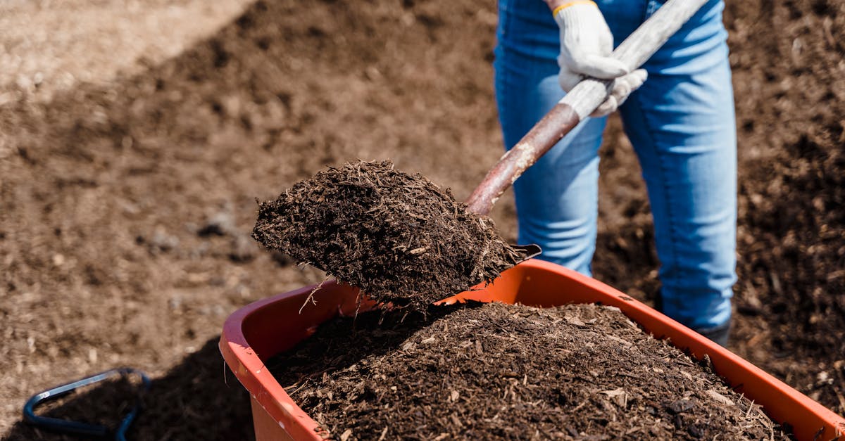 découvrez l'art du compostage : une méthode écologique pour recycler vos déchets organiques en un amendement riche pour la terre. apprenez comment réduire vos déchets tout en nourrissant votre jardin avec ce guide pratique sur le compostage.