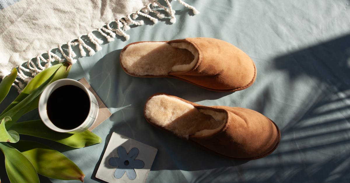 découvrez le café de pissenlit, une alternative délicieuse et sans caféine qui allie bien-être et saveurs uniques. parfait pour ceux qui recherchent une boisson réconfortante et bénéfique pour la santé.