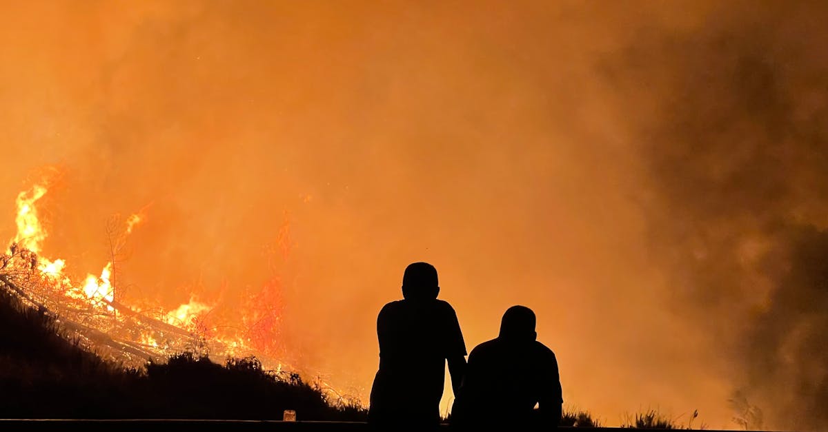 découvrez les enjeux et les conséquences de la déforestation à l'échelle mondiale. informez-vous sur l'impact sur la biodiversité, le climat, et les communautés locales, ainsi que sur les initiatives visant à protéger nos forêts pour un avenir durable.
