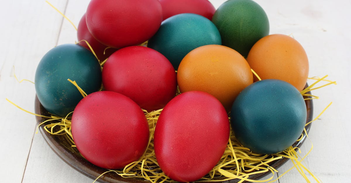 découvrez la magie de pâques ! plongez dans l'univers festif avec des traditions, des recettes savoureuses et des activités ludiques pour célébrer cette fête en famille. profitez de nos conseils pour une pâques inoubliable.