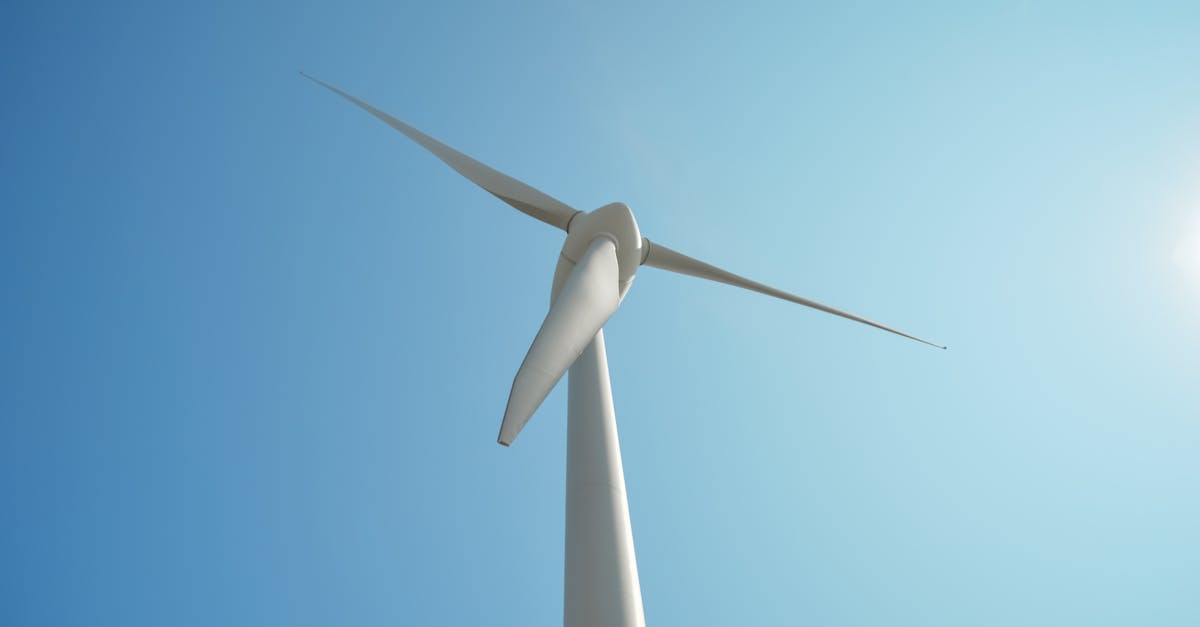 découvrez l'éco-conscience, un mouvement qui prône des modes de vie durables et respectueux de l'environnement. apprenez comment adopter des pratiques écoresponsables au quotidien pour réduire votre empreinte écologique et préserver notre planète pour les générations futures.