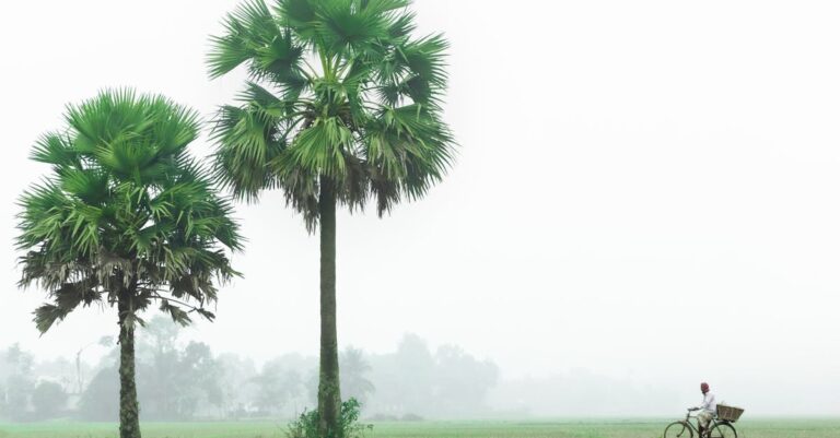 découvrez des solutions éco-responsables pour un mode de vie durable. adoptez des pratiques respectueuses de l'environnement et profitez d'options éthique pour réduire votre empreinte écologique tout en préservant notre planète.