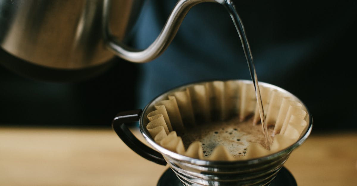 découvrez notre filtre à café écologique, conçu pour réduire l'impact environnemental tout en préservant la qualité de votre café. optez pour une solution durable qui allie praticité et respect de la planète.