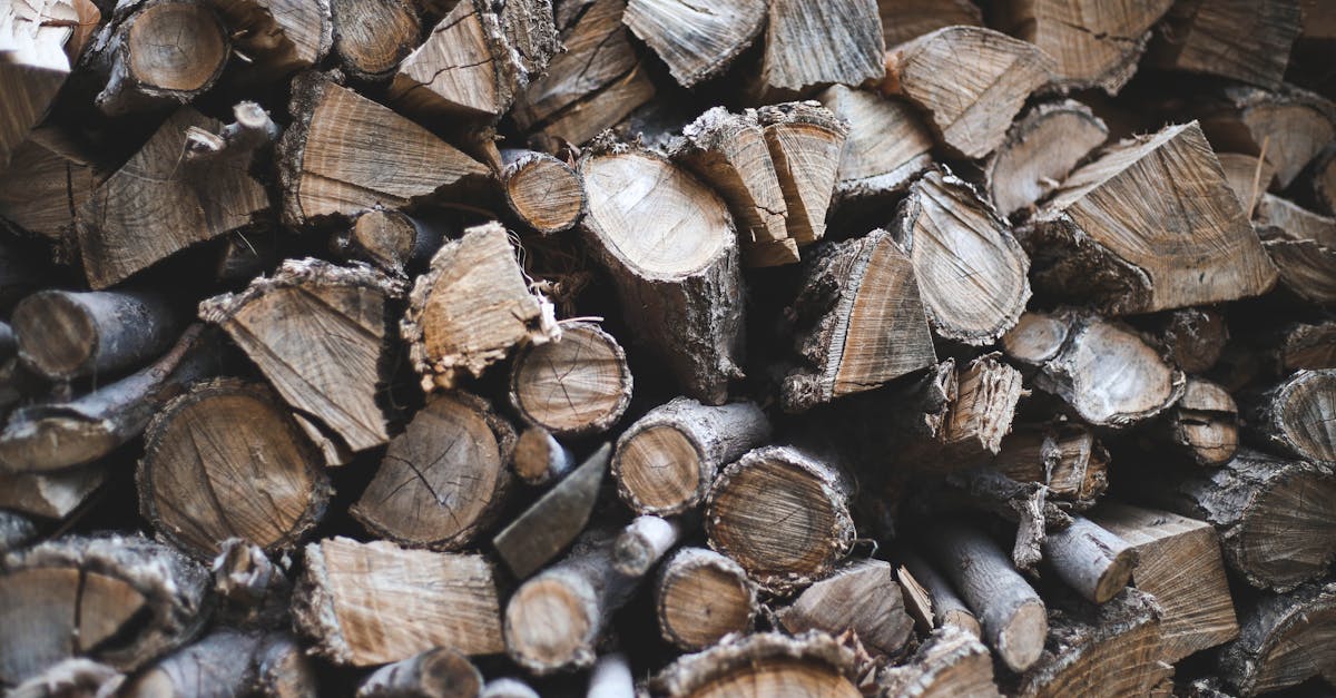 découvrez des alternatives de chauffage écologiques qui allient confort et respect de l'environnement. explorez nos solutions durables pour réduire votre empreinte carbone tout en profitant d'un foyer chaleureux.