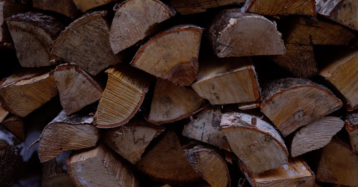 découvrez des alternatives de chauffage écologiques pour réduire votre empreinte carbone tout en maintenant votre intérieur confortable. explorez des solutions innovantes et durables qui allient efficacité énergétique et respect de l'environnement.