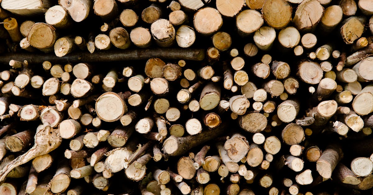 découvrez des alternatives de chauffage écologiques qui allient confort et respect de l'environnement. optez pour des solutions durables et économes en énergie pour réchauffer votre intérieur tout en réduisant votre empreinte carbone.