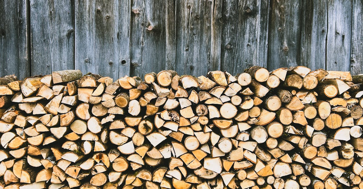 découvrez des alternatives de chauffage écologiques qui allient efficacité énergétique et respect de l'environnement. explorez des options durables pour réduire votre empreinte carbone tout en maintenant votre confort.