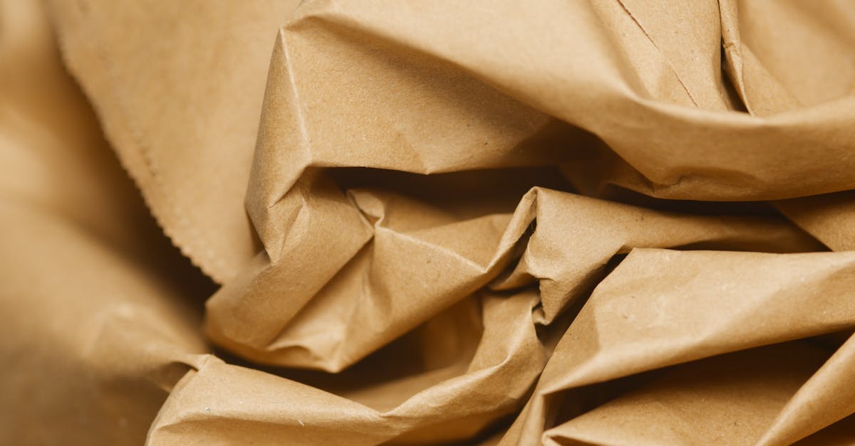 découvrez l'univers du papier mâché éco-responsable : des créations artistiques innovantes, réalisées à partir de matériaux recyclés, alliant esthétique et respect de l'environnement. lancez-vous dans des projets créatifs tout en préservant notre planète.