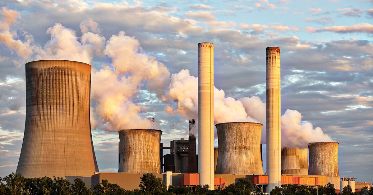 découvrez comment protéger notre planète et promouvoir le développement durable. explorez des solutions innovantes et des actions concrètes pour préserver l'environnement et lutter contre le changement climatique.