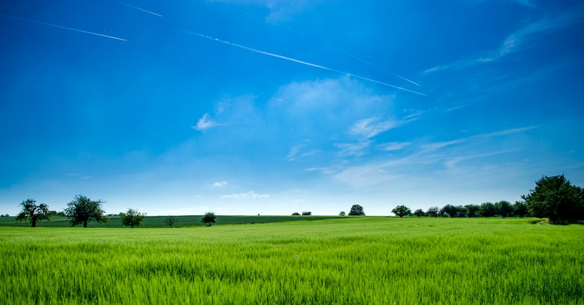 découvrez les enjeux cruciaux de l'environnement, explorez des solutions durables et engagez-vous pour la protection de notre planète. apprenez comment chaque action, petite ou grande, peut contribuer à un avenir plus vert.