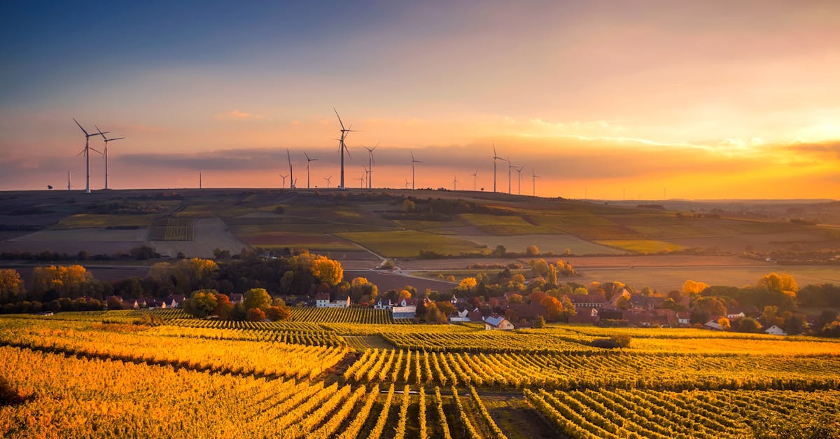 découvrez l'importance de l'environnement, explorez des solutions durables et engagez-vous pour la protection de notre planète à travers des actions concrètes et des initiatives écologiques.