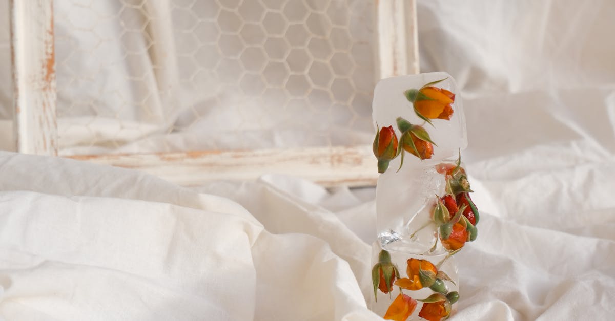 découvrez notre guide sur les glaçons floraux, une manière élégante d'ajouter une touche rafraîchissante et esthétique à vos boissons. apprenez à créer ces cubes de glace colorés et parfumés, parfaits pour embellir vos cocktails, thés glacés ou simplement de l'eau. transformez vos moments de détente en une expérience visuelle et gustative inoubliable.