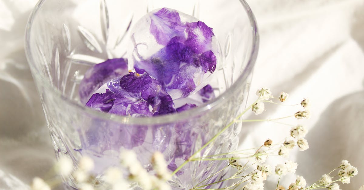 découvrez nos glaçons floraux, une manière élégante d'embellir vos boissons. parfaits pour des cocktails raffinés ou des rafraîchissements estivaux, ces glaçons infusés de fleurs comestibles ajouteront une touche de couleur et de saveur à vos créations. éveillez vos sens avec une expérience visuelle et gustative unique !