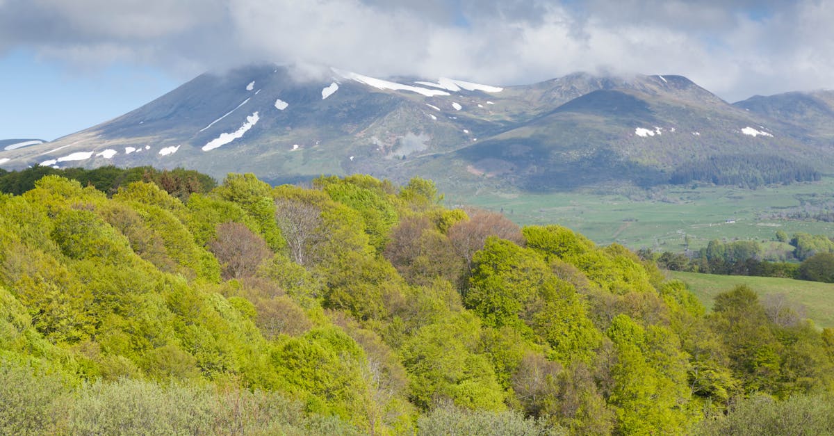découvrez les majestueuses montagnes françaises, des sommets alpins aux massifs volcaniques, en passant par des paysages à couper le souffle et des activités de plein air variées. explorez la richesse naturelle et culturelle de ces montagnes, idéales pour les amateurs de randonnée, de ski et de nature.
