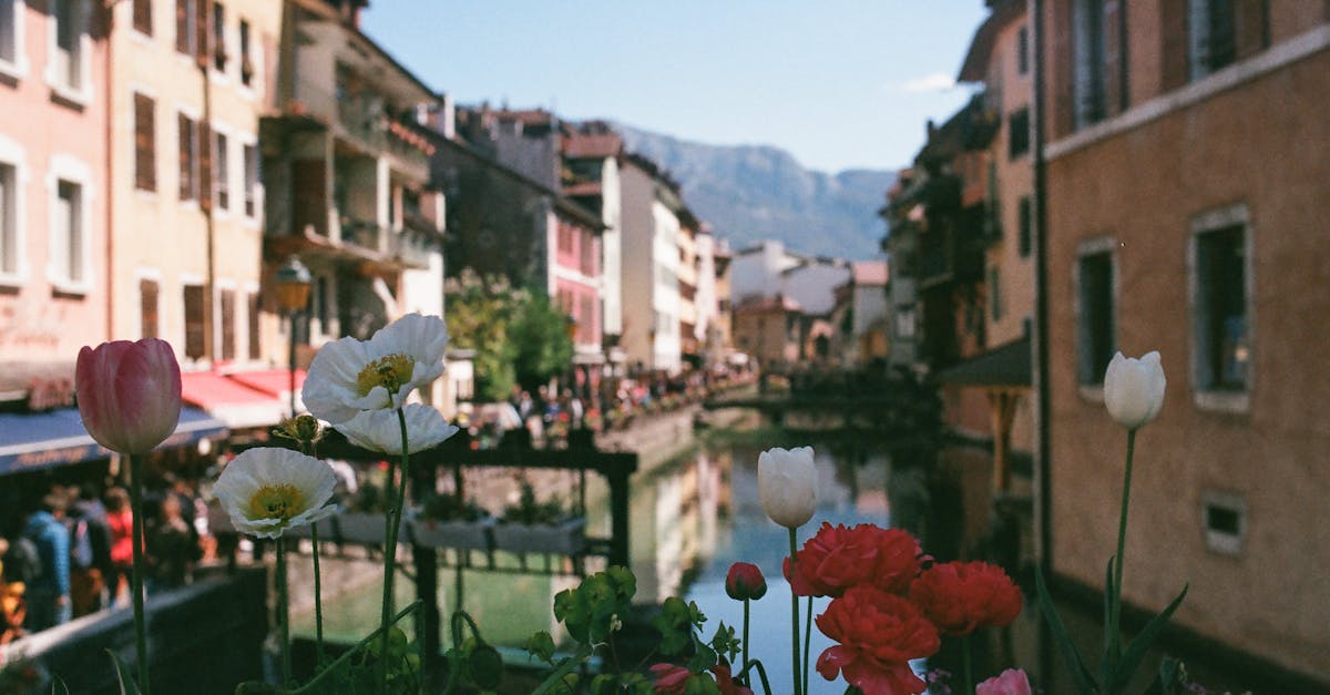 découvrez les majestueuses montagnes françaises, de la sublime chaîne des alpes aux paysages uniques des pyrénées. explorez des panoramas à couper le souffle, des activités de plein air exaltantes et la richesse de la faune et la flore qui caractérisent ces territoires d'exception.