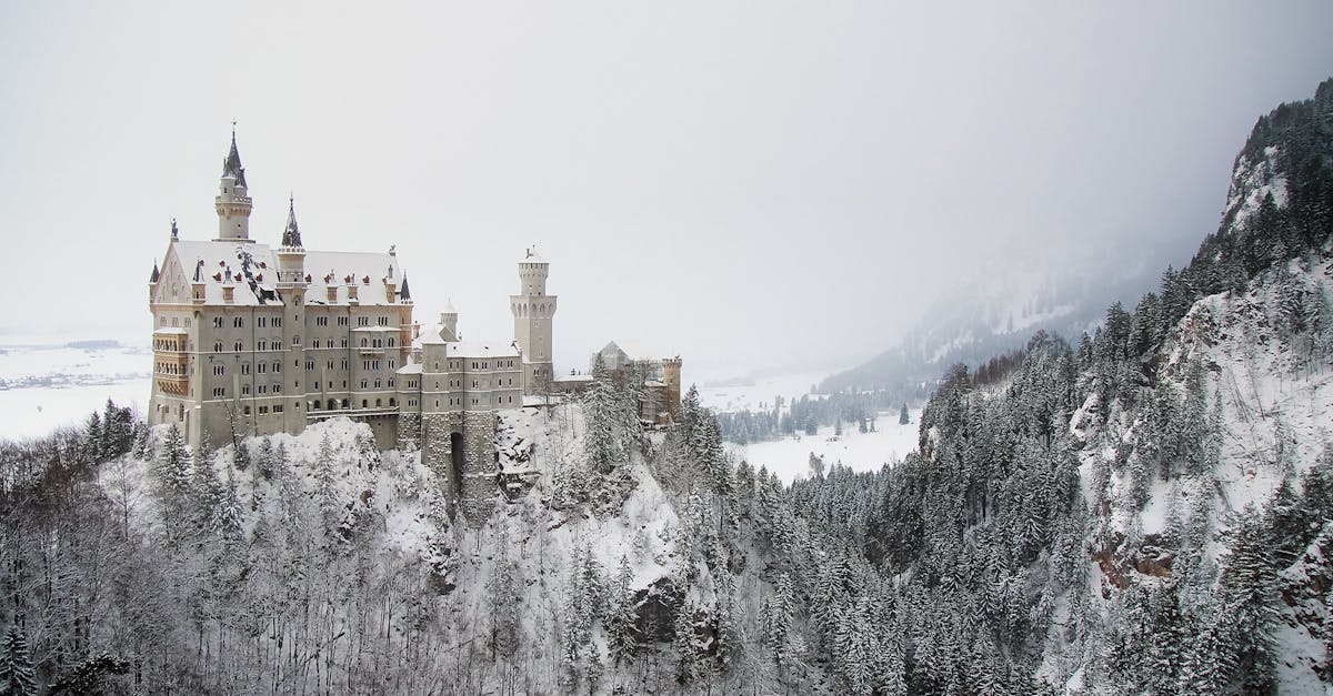 découvrez l'allemagne, un pays riche en histoire, culture et innovation. explorez ses villes dynamiques, ses paysages pittoresques et sa gastronomie renommée. plongez dans l'art, la musique et les traditions qui font de l'allemagne une destination incontournable en europe.