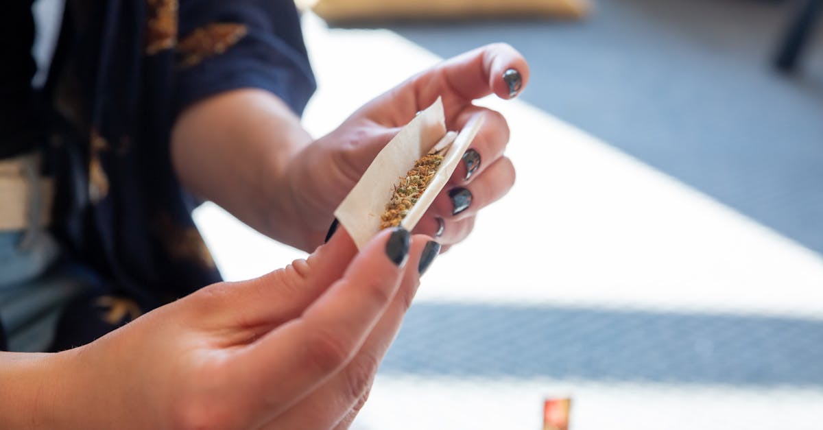 découvrez les multiples vertus du chanvre, une plante aux usages variés allant de la textile à la nutrition. explorez ses bienfaits écologiques et sa contribution à une vie durable.