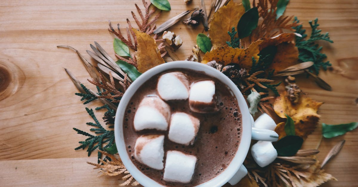 découvrez notre délicieuse recette de chocolat chaud, une boisson réconfortante parfaite pour les journées froides. avec ses arômes riches et sa texture crémeuse, ce chocolat chaud maison ravira vos papilles et apportera chaleur et douceur à vos instants gourmands.