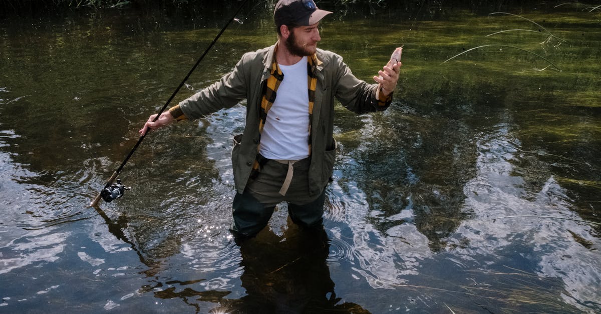 découvrez le monde passionnant de la chasse : techniques, conseils et équipement pour les amateurs et les passionnés. explorez la nature tout en apprenant l'éthique et la conservation associées à cette activité ancestrale.
