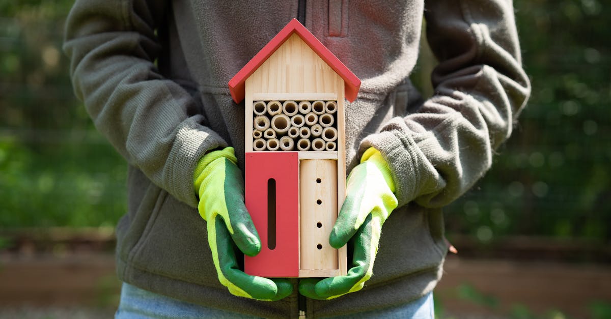 découvrez l'importance des hôtels à insectes pour la biodiversité. apprenez comment ces abris écologiques favorisent la pollinisation et offrent refuge à de nombreuses espèces d'insectes, tout en embellissant votre jardin. créez un habitat naturel et durable avec un hôtel à insectes.