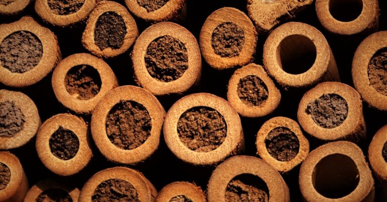découvrez l'importance des hôtels à insectes pour la biodiversité ! apprenez comment ces refuges écologiques attirent pollinisateurs et insectes utiles, tout en embellissant votre jardin. un geste simple pour soutenir la nature.