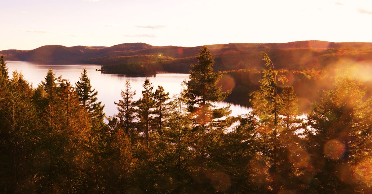 découvrez une collection époustouflante de paysages à couper le souffle. explorez la beauté de la nature à travers des images captivantes de montagnes majestueuses, de plages paradisiaques et de forêts luxuriantes. laissez-vous inspirer par la diversité et la splendeur des paysages du monde.