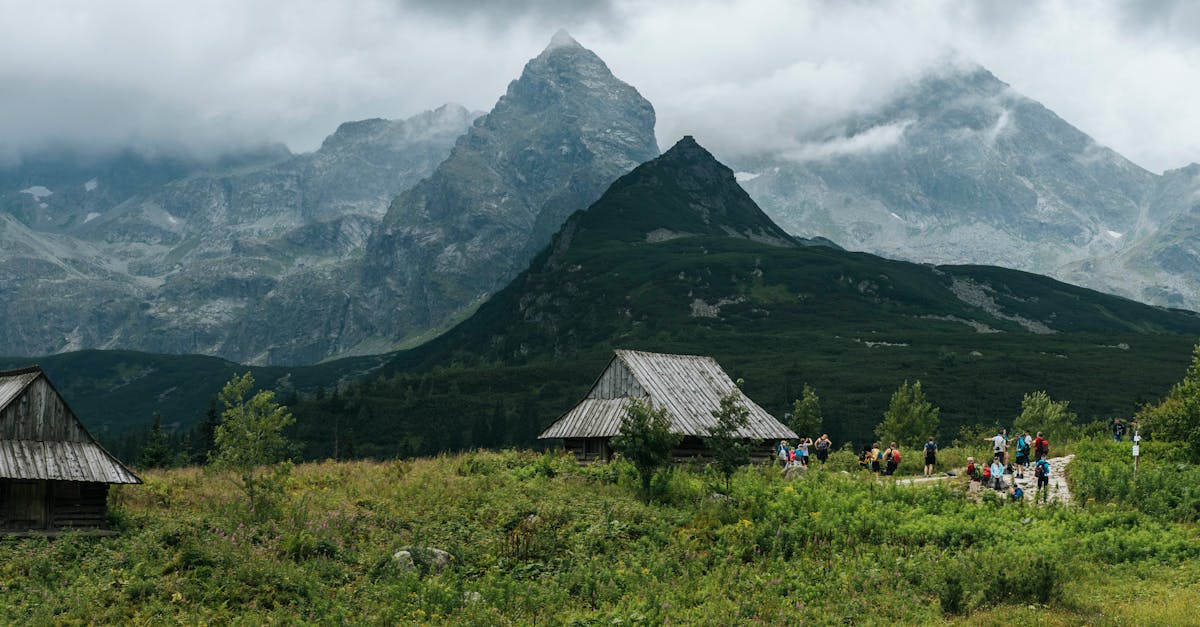 découvrez la beauté des paysages à travers le monde, des montagnes majestueuses aux plages paradisiaques. plongez dans la diversité des paysages naturels qui inspirent, apaisent et émerveillent.