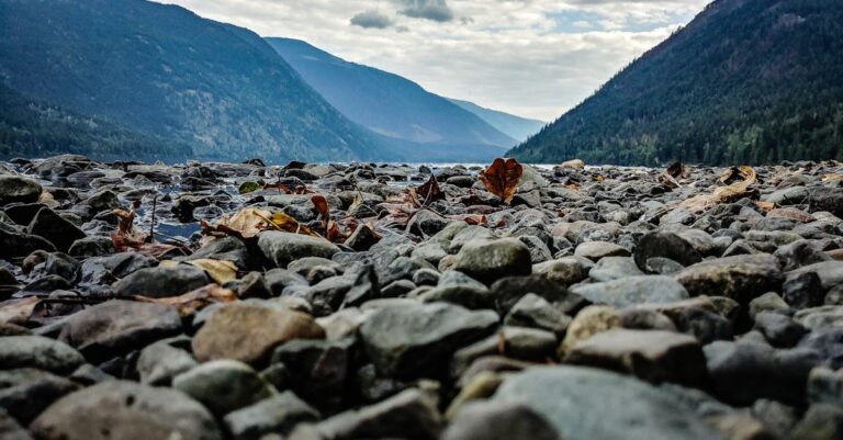 découvrez une multitude de paysages à couper le souffle, allant des montagnes majestueuses aux plages ensoleillées, en passant par des forêts luxuriantes et des vallées pittoresques. plongez dans la beauté naturelle du monde et laissez-vous inspirer par la diversité des décors.