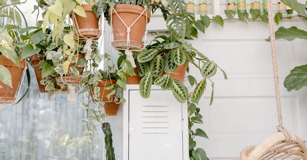découvrez l'art du macramé, une technique de nouage créative qui vous permet de réaliser de magnifiques objets décoratifs et accessoires. que vous soyez débutant ou expert, explorez des projets inspirants, des tutoriels et des conseils pour maîtriser cet artisanat tendance.